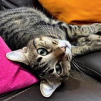 Photo of Kizzie