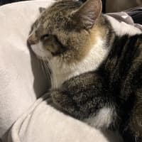 Photo of Charlie