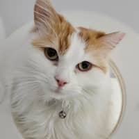 Photo of Belle
