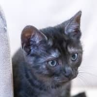 Photo of Nancy