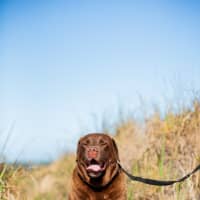 Photo of Leroy