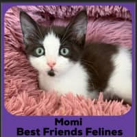 Photo of Momi 