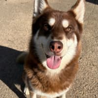 Photo of Halo
