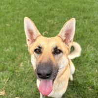 Photo of Angel