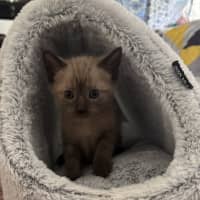 Photo of Mia