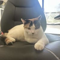 Photo of Yumi