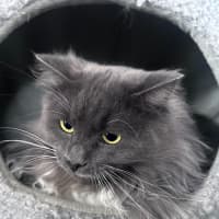 Photo of Betty 