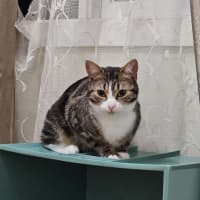 Photo of Celina