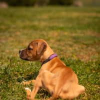 Photo of Maggie