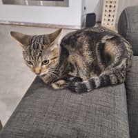 Photo of Bubba