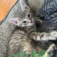 Photo of Bruno / Fruit Loop