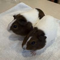 Photo of Charlie & Lola