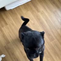 Photo of Christopher 