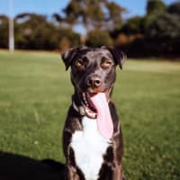 Photo of Toby Kumara