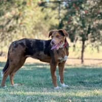 Photo of Ember
