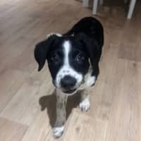 Photo of Lenny