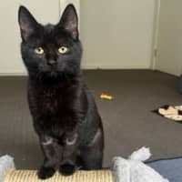 Photo of Bellatrix