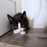 Photo of Addy 🌸🌸