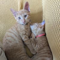 Photo of Fred & George (Aka Quentin & Quigley)