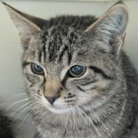 Photo of 🌱 Gideon 6020 🌱