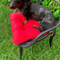 Photo of Hugo