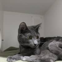 Photo of 🐻 Bear 5698 🐻