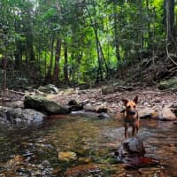 Photo of Nombu
