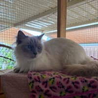 Photo of Casper