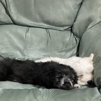 Photo of Billy The Kid