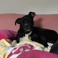 Photo of Sanka