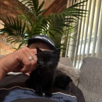 Photo of C1519 Minnie