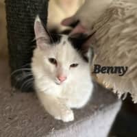 Photo of Benny