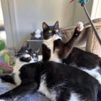 Photo of Peppa & Tabitha