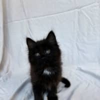 Photo of Frankie