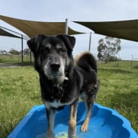 Photo of Zeus 