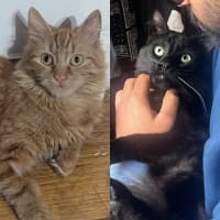 Photo of River & Genevieve