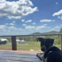 Photo of Jessie