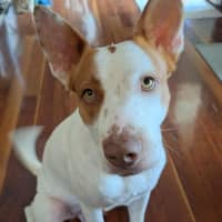 Photo of Adeline