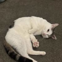 Photo of Smoosh