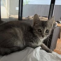 Photo of Maggie 🌈⭐️