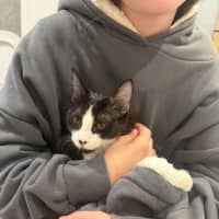 Photo of Cookie