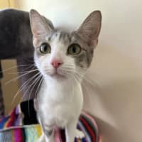 Photo of Lily