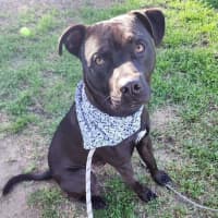 Photo of Odin