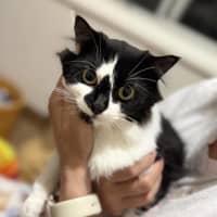 Photo of ❤️ Ruby ❤️