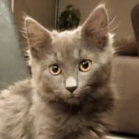Photo of Denim