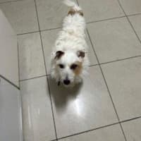 Photo of Russell Russelton