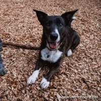 Photo of Oscar And Annika Newhaven