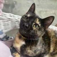 Photo of Kallie 🍃💕