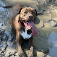 Photo of Wally