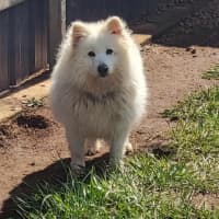 Photo of Bliss & Crystal